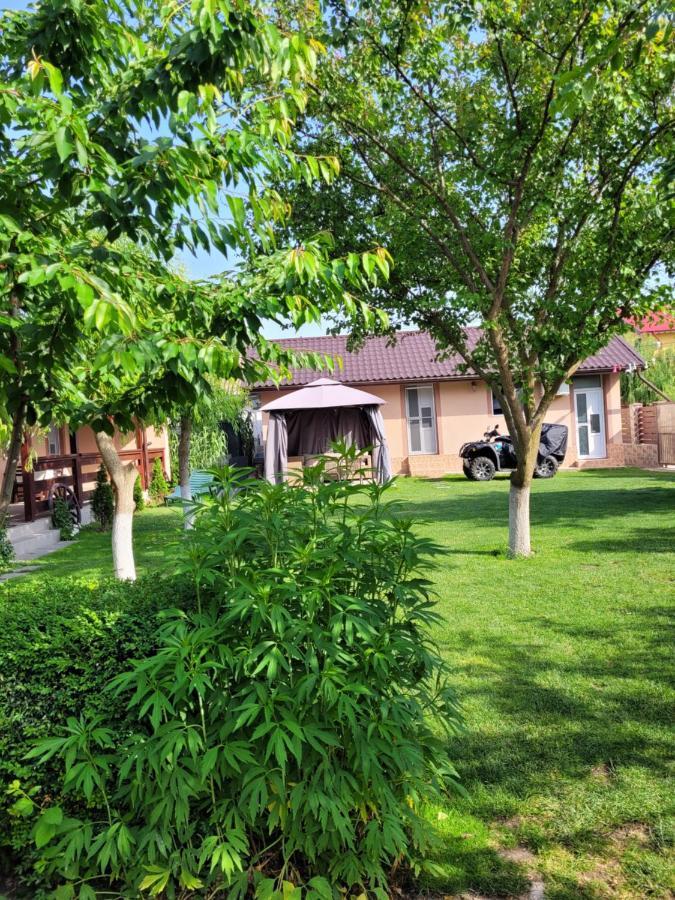 Отель Casa Badea Муригьол Экстерьер фото